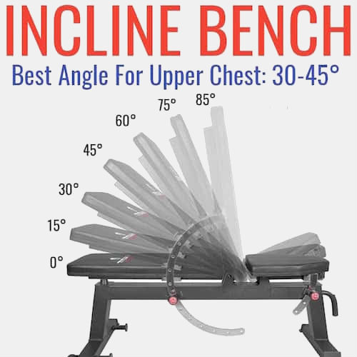 30-45 degrees - Incline Bench