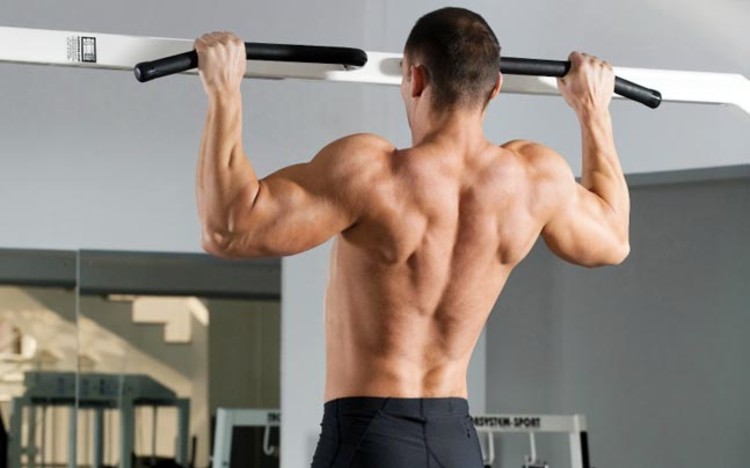 Best Pull Up Bars