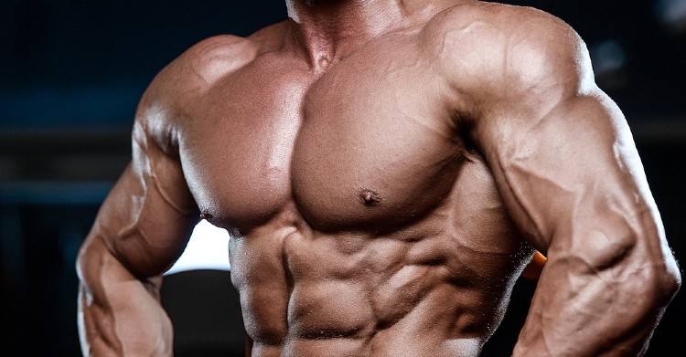 Best Upper Chest Workout