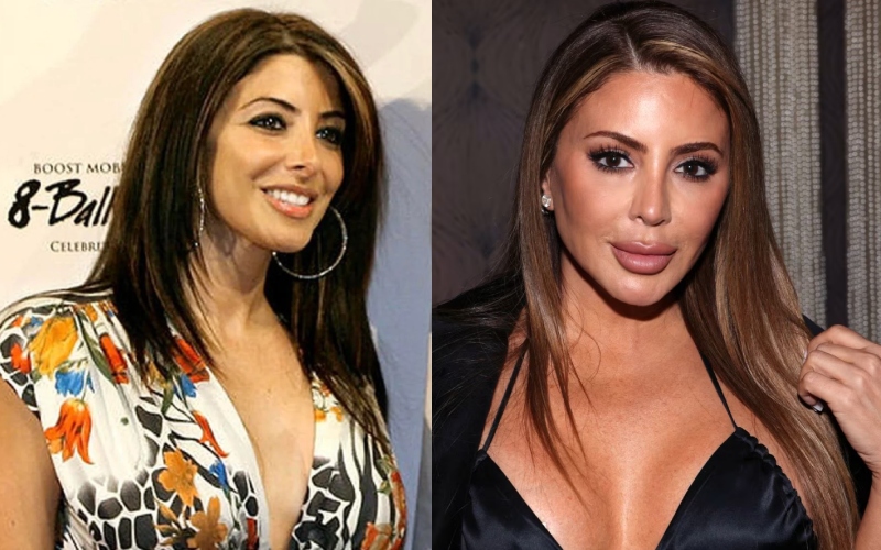 Larsa Pippen Plastic Surgery Transformation